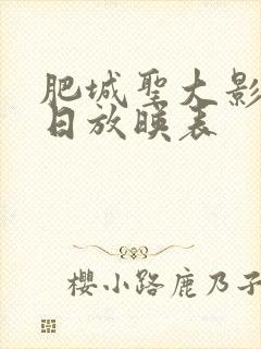 肥城圣大影城今日放映表