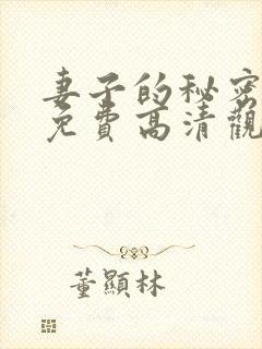 妻子的秘密短剧免费高清观看全集