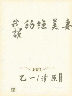 我的绝美妻子小说