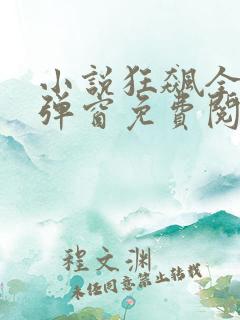 小说狂飙全文无弹窗免费阅读