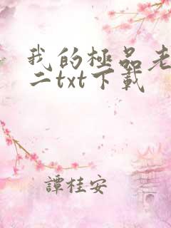 我的极品老婆小二txt下载