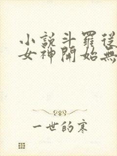 小说斗罗从俘获女神开始无敌完本txt