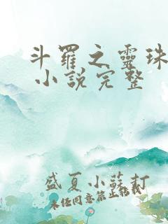 斗罗之灵珠神剑 小说完整