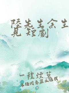 陆先生余生不再见 短剧