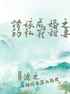 错嫁成婚之总裁的私宠甜妻在线阅读