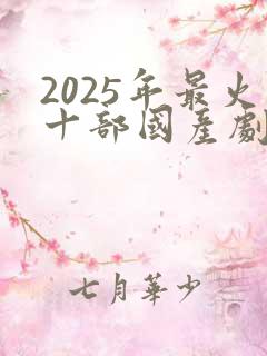 2025年最火十部国产剧