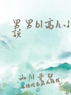 男男bl高h小说