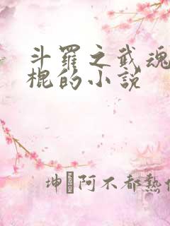 斗罗之武魂是黑棍的小说