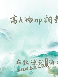 高h肉np调教