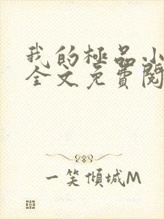 我的极品小姨 全文免费阅读