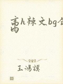 高h辣文bg全肉