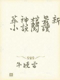 葬神棺最新章节小说阅读