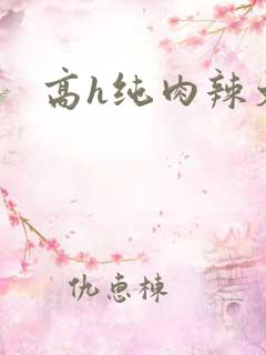 高h纯肉辣文