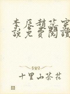 李辰赵蕊穿越小说免费阅读