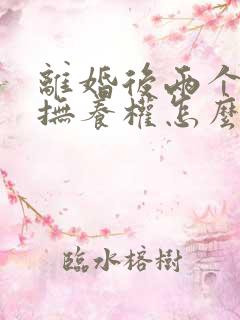 离婚后两个孩子抚养权怎么分