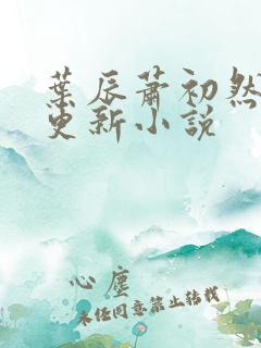 叶辰萧初然最快更新小说