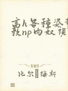 高h各种姿势调教np肉奴视频