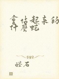 会站起来的蛇是什么蛇