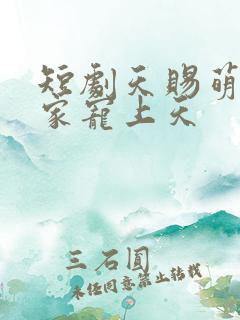 短剧天赐萌宝全家宠上天