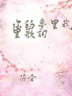 你的梦里我的梦里歌词