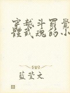 穿越斗罗觉醒本体武魂的小说