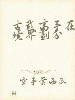 古武高手在都市境界划分