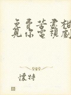 免费苦尽柑来遇见你电视剧