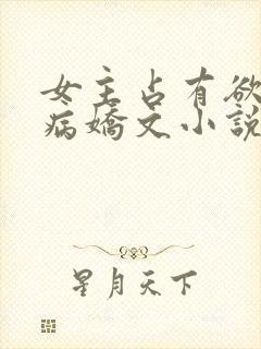 女主占有欲强的病娇文小说