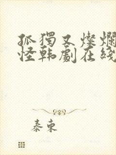 孤独又灿烂的鬼怪韩剧在线观看