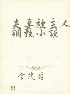 夫妻被主人一起调教小说