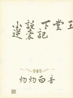 小说 下堂王妃逆袭记