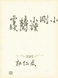 雪姨小刚小说在线阅读