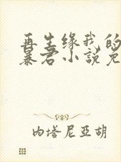 再生缘我的温柔暴君小说免费阅读