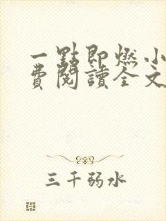 一点即燃小说免费阅读全文无弹窗