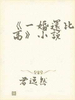 《一婚还比一婚高》小说