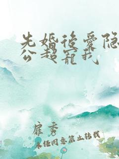 先婚后爱隐婚老公超宠我