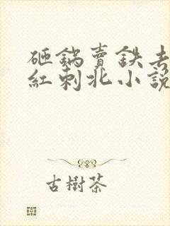 砸锅卖铁去上学红刺北小说最新章节在线