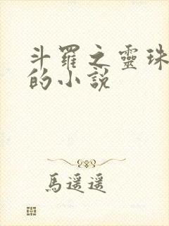 斗罗之灵珠神剑的小说