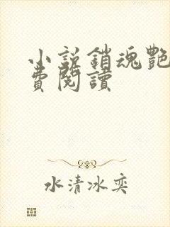 小说销魂艳婢免费阅读