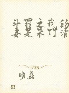 斗罗之我的未婚妻是朱竹清 马特3