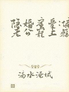 隐婚蜜爱:偏执老公宠上瘾正版