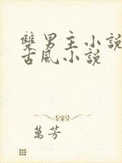 双男主小说穿越古风小说