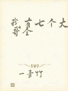 我有七个大佬哥哥全