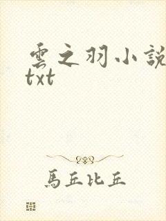 云之羽小说原著txt