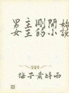 男主刚开始想杀女主的小说