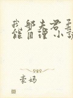 我那夫君柔弱不能自理 小说