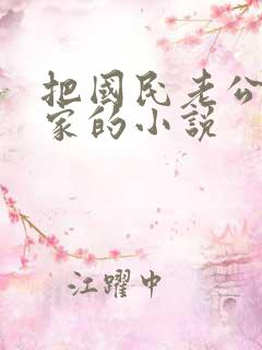 把国民老公带回家的小说