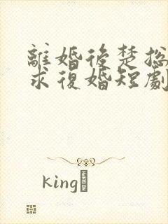 离婚后楚总天天求复婚短剧免费观看