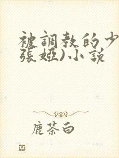 被调教的少妇(张娅)小说