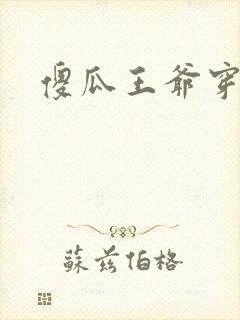 傻瓜王爷穿越妃